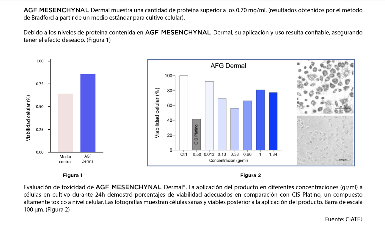 AGF Mesenchymal DERMAL 2x1