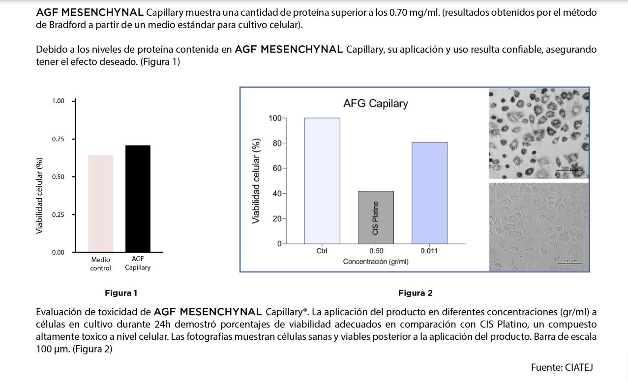 AGF Mesenchymal CAPILLARY 2x1