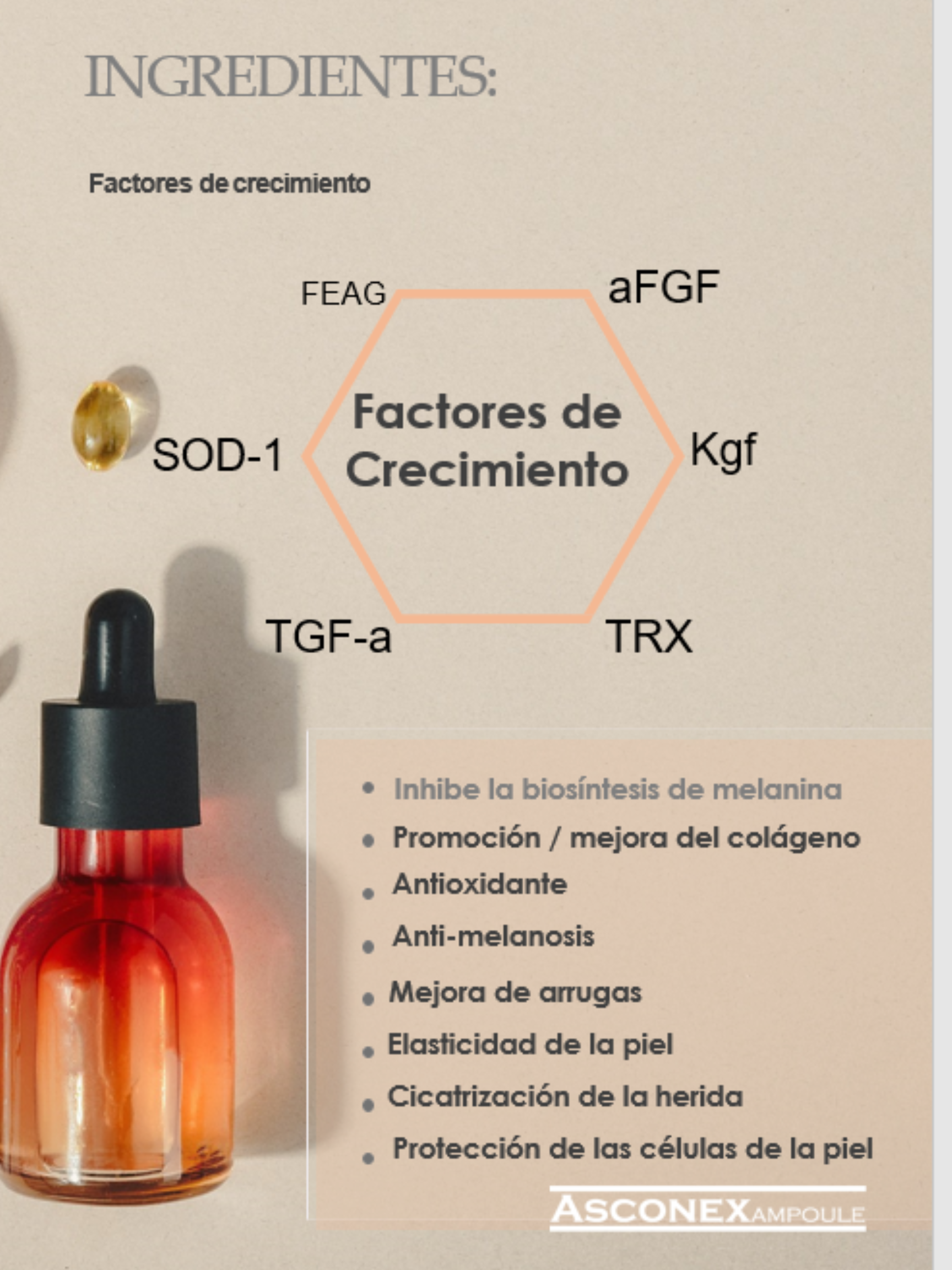 Asconex Ampoule Caja con 5 viales